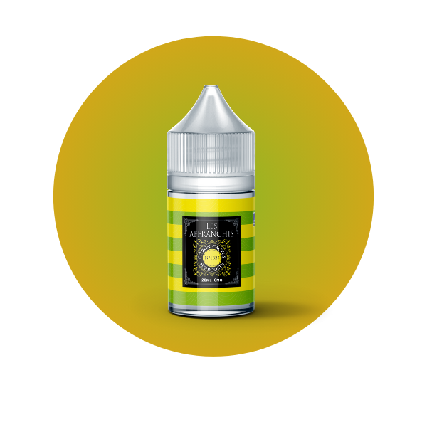 E-LIQUIDE CITRON CACTUS N°1825