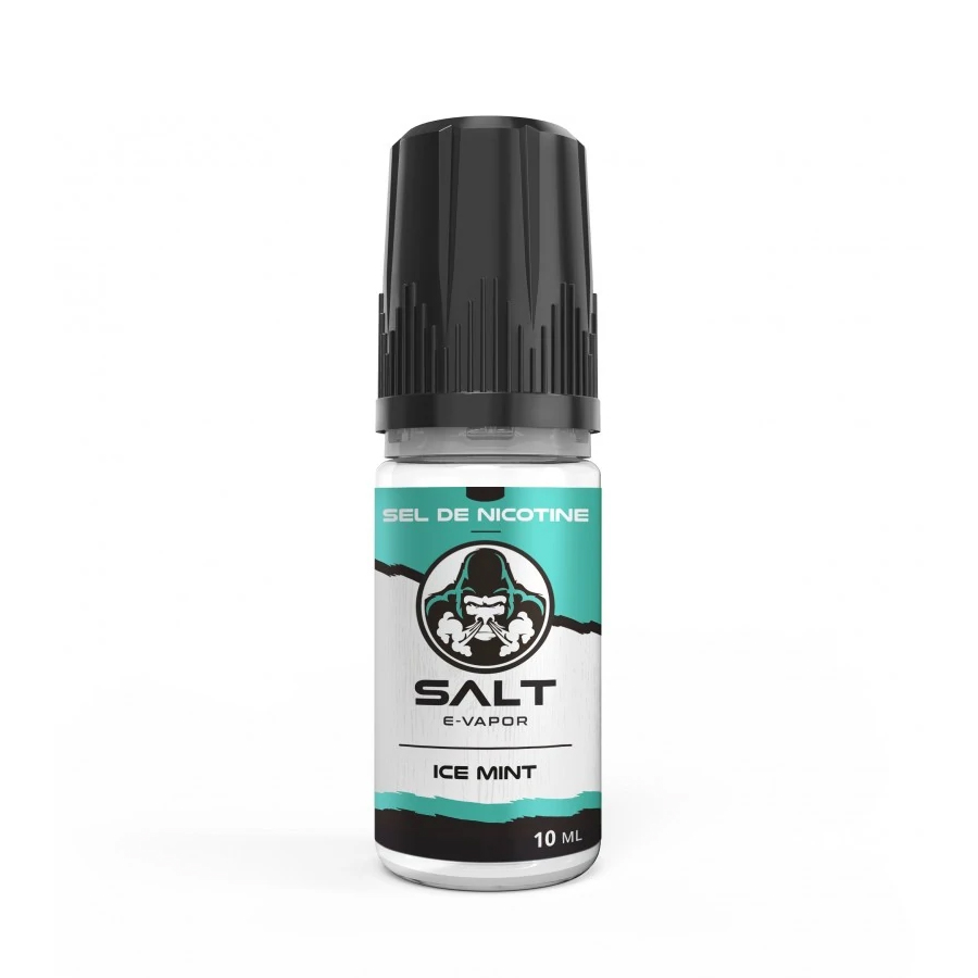 E-LIQUIDE ICE MINT SALT